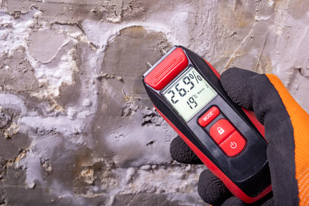 Best Certified Mold Removal  in Orient, NY