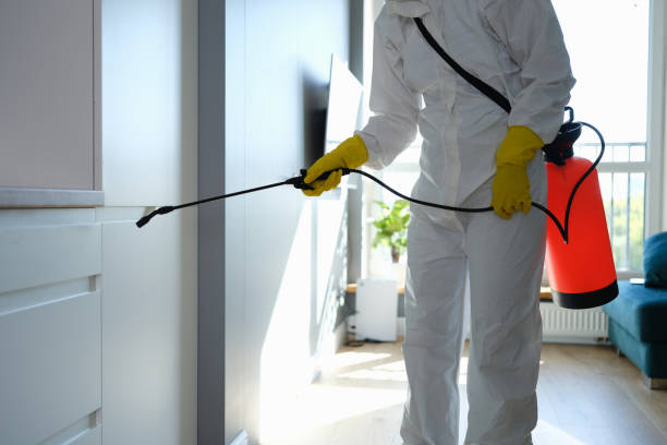 Best Professional Mold Removal  in Orient, NY