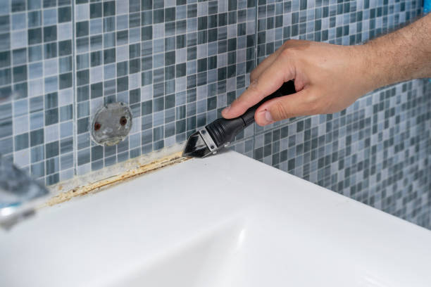 Best Affordable Mold Removal  in Orient, NY