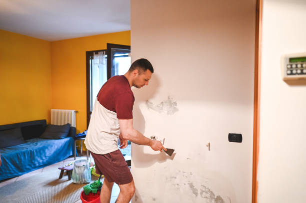 Best Mold Inspection  in Orient, NY